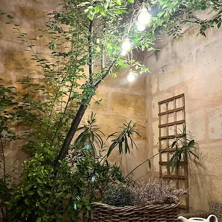Maison - Centre Climatisee Daire